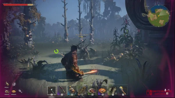 爷青回!海盗们,《风启之旅》这波真的来了 爷青回!海盗们,《风启之旅》这波真的来了