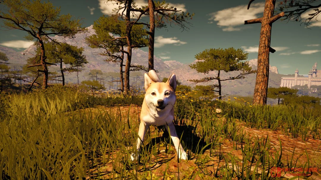 活久见!现在的独立游戏都这么卷了吗?连中世纪牧羊都能出模拟器 活久见!现在的独立游戏都这么卷了吗?连中世纪牧羊都能出模拟器