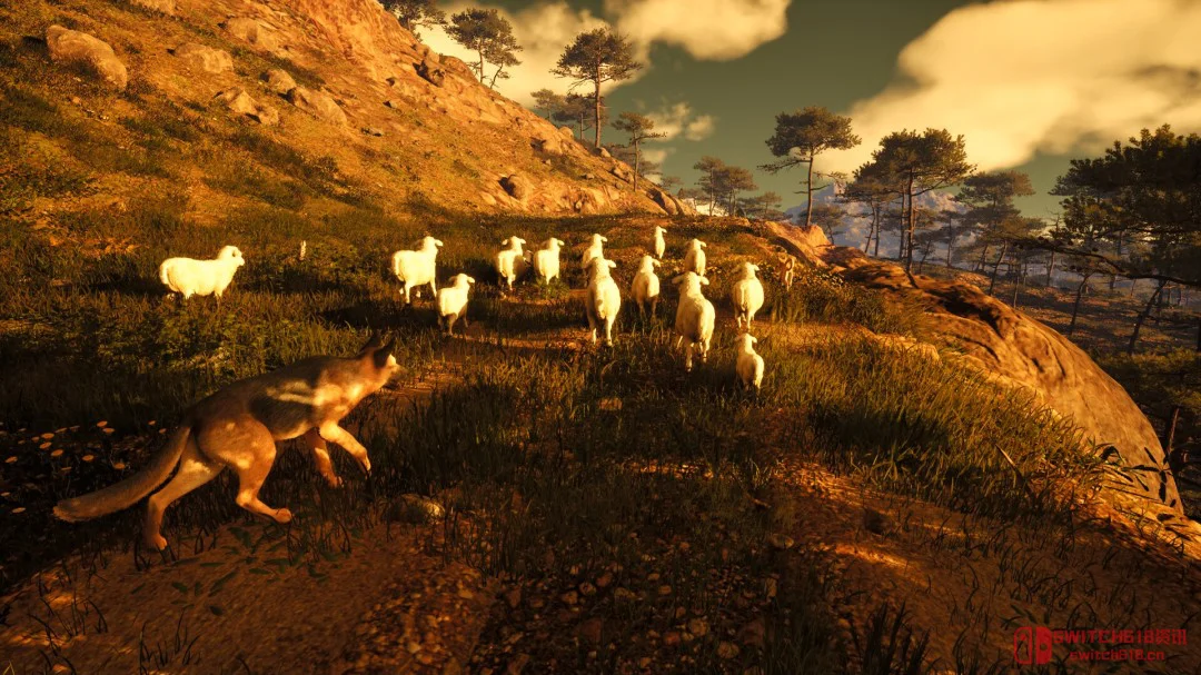 活久见!现在的独立游戏都这么卷了吗?连中世纪牧羊都能出模拟器 活久见!现在的独立游戏都这么卷了吗?连中世纪牧羊都能出模拟器