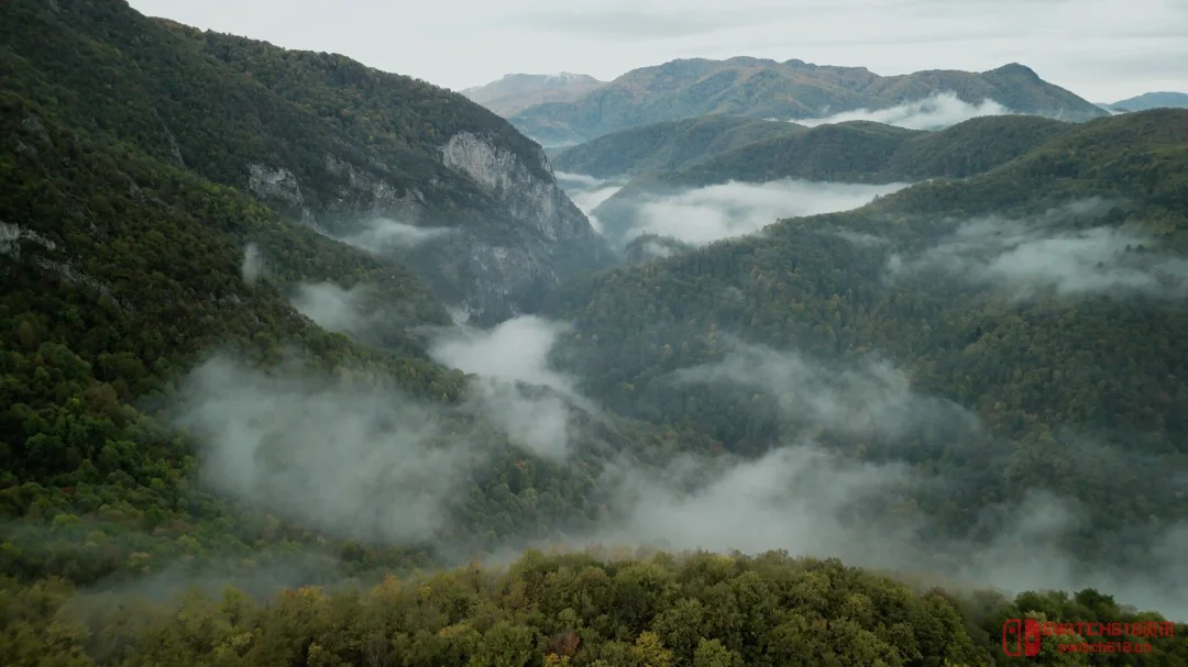 一个人跑到野外待40天,就为了做这款游戏? 一个人跑到野外待40天,就为了做这款游戏?