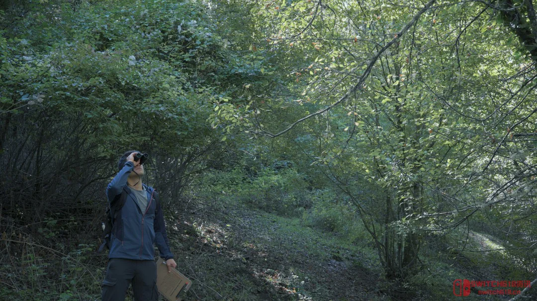 一个人跑到野外待40天,就为了做这款游戏? 一个人跑到野外待40天,就为了做这款游戏?