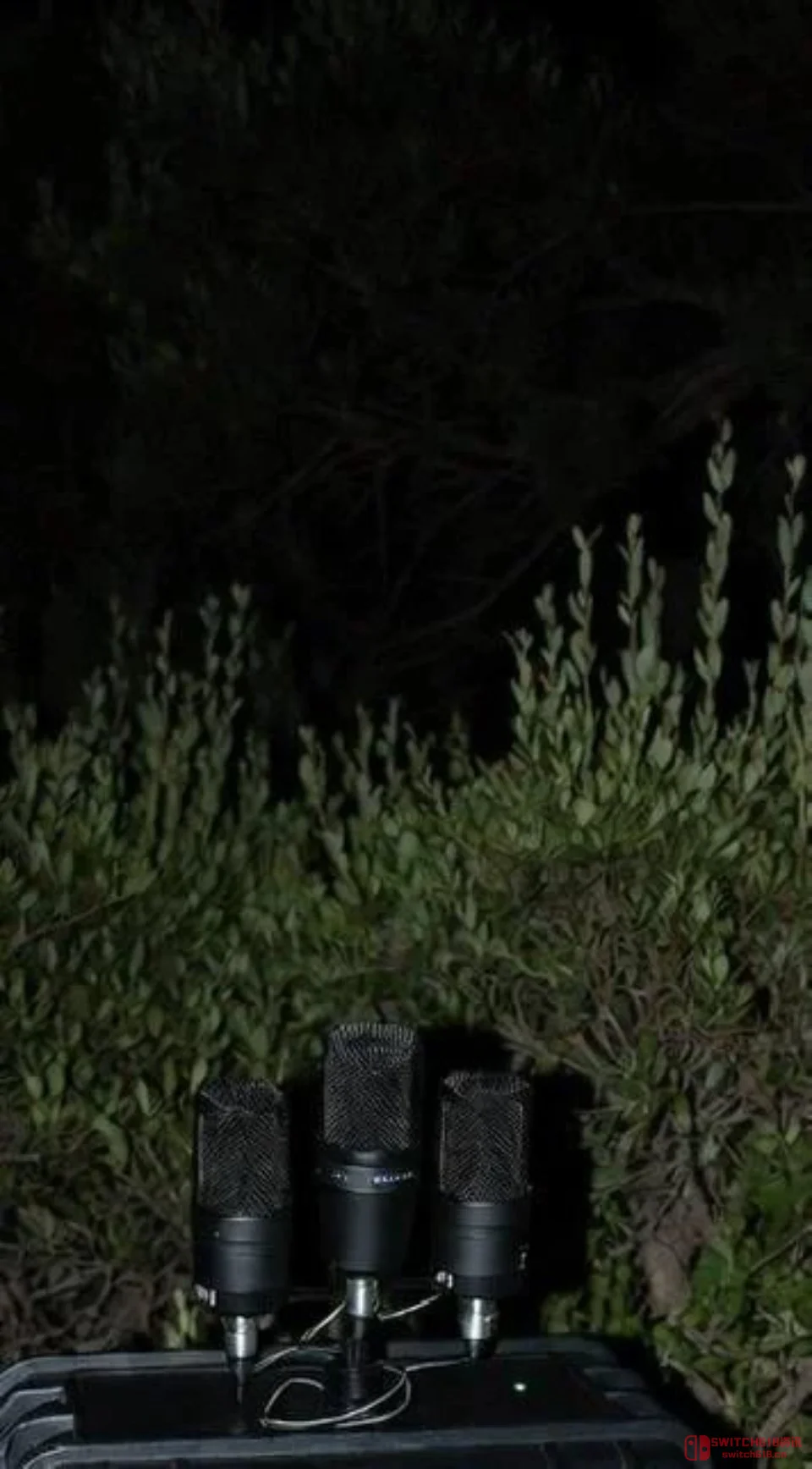等等,有玩家为了GTA6预告片直接去R星总部外架麦克风监听会议室音量?这操作比洛圣都五星通缉还离谱! 等等,有玩家为了GTA6预告片直接去R星总部外架麦克风监听会议室音量?这操作比洛圣都五星通缉还离谱!